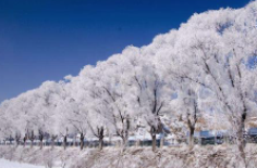 全國(guó)初雪時(shí)間表出爐 看看你離初雪還有多遠(yuǎn)？