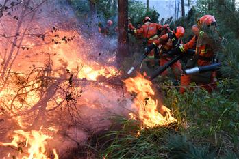 大興安嶺火災(zāi):救火隊(duì)員連夜作戰(zhàn)