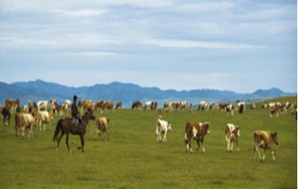 華能北方公司：奔小康，咱肯定能