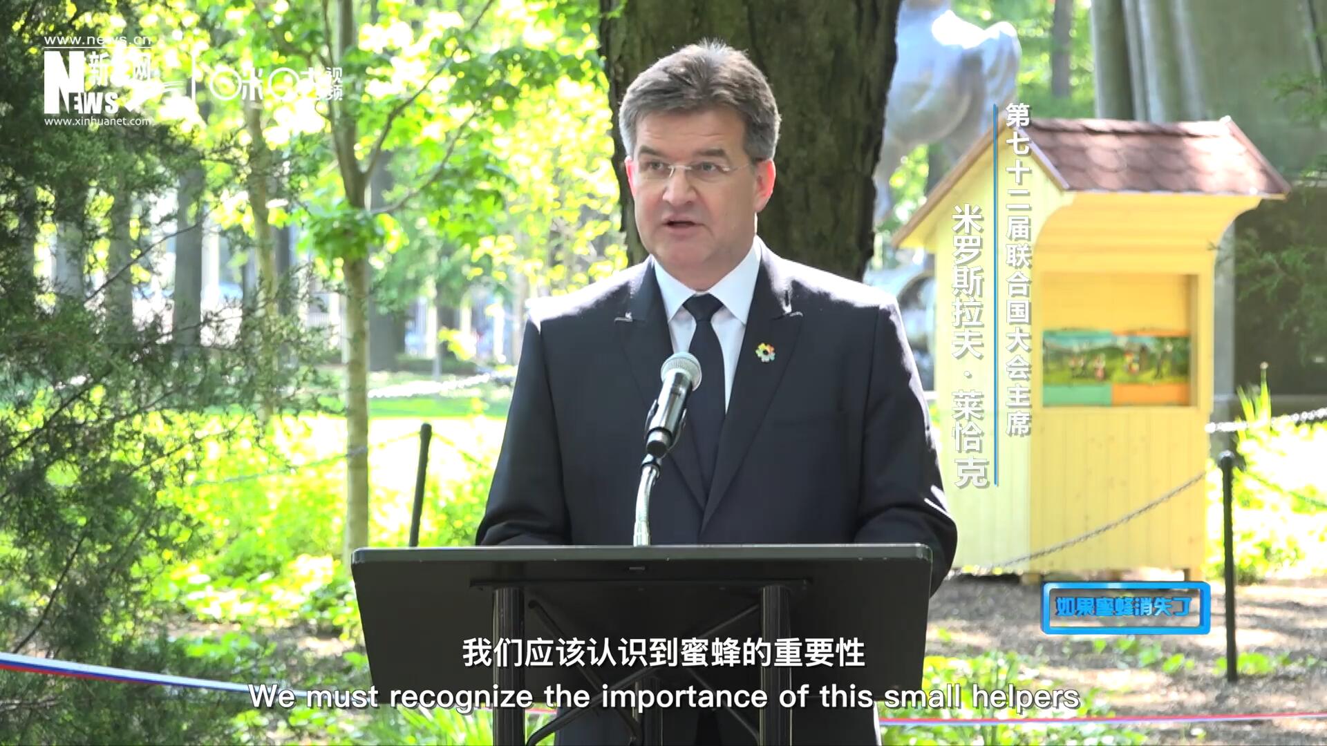 我們應(yīng)該認識到蜜蜂的重要性，所以我們用“世界蜜蜂日”提高大家保護蜜蜂的意識，并且用實際行動去保護蜜蜂
