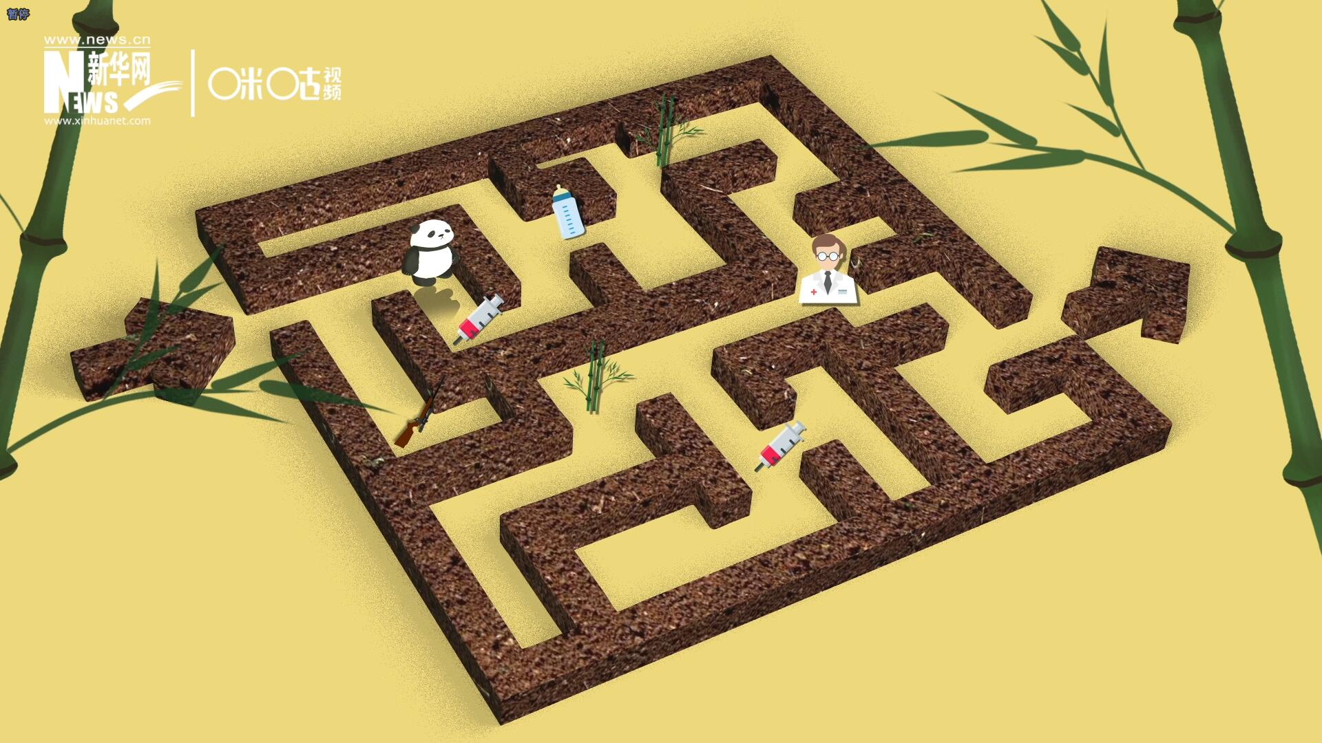 2016年，國際自然保護(hù)聯(lián)盟將大熊貓的物種瀕危等級，從“瀕危”下降到了“易危”。