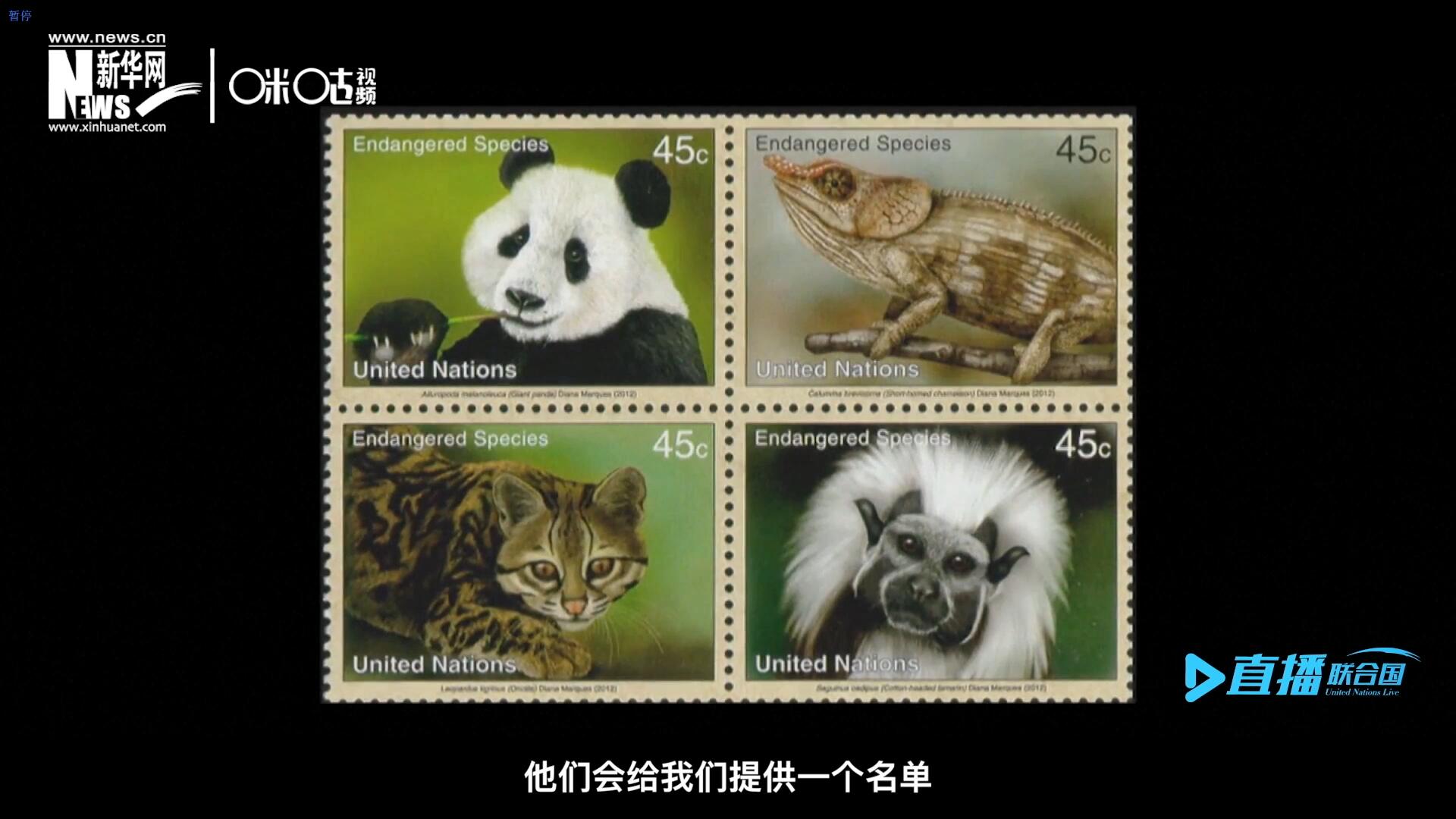 CITES（瀕危野生動(dòng)植物種國際貿(mào)易公約）會(huì)給聯(lián)合國郵政設(shè)計(jì)師提供一個(gè)名單，雙方共同合作在附錄中找到名單中應(yīng)該受到關(guān)注的動(dòng)物。