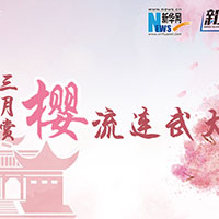 三月賞櫻，流連武大