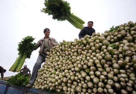 劉永富：發(fā)展產(chǎn)業(yè)脫貧仍是精準(zhǔn)扶貧、精準(zhǔn)脫貧主攻方向