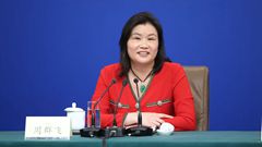全國政協(xié)委員、全國工商聯(lián)執(zhí)行委員會(huì)常委、藍(lán)思科技股份有限公司董事長 周群飛