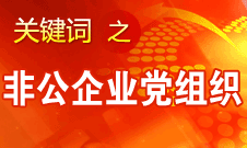 王京清：非公企業(yè)建立黨組織服務(wù)企業(yè)發(fā)展、服務(wù)員工