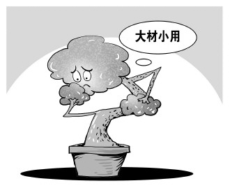 自認&ldquo;大材小用&rdquo;，不如腳踏實地