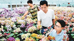 臺商眼中的改革開放：風景這邊獨好 要去，要去，要去！