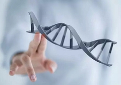 小細(xì)胞肺癌需要做基因檢測(cè)嗎？