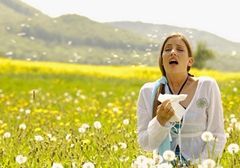 “感冒”為何總不好？