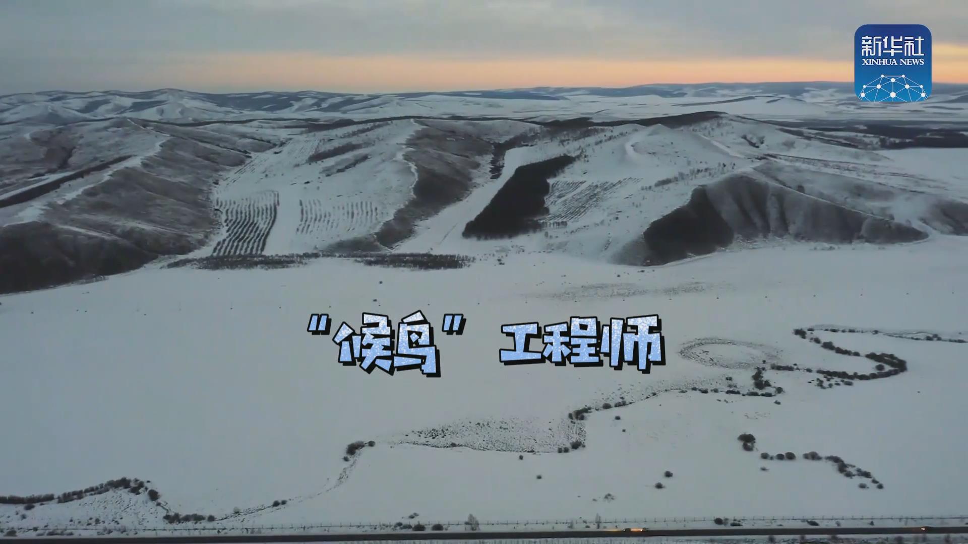 我們在奔跑丨一路向北！他是逆行的“候鳥”