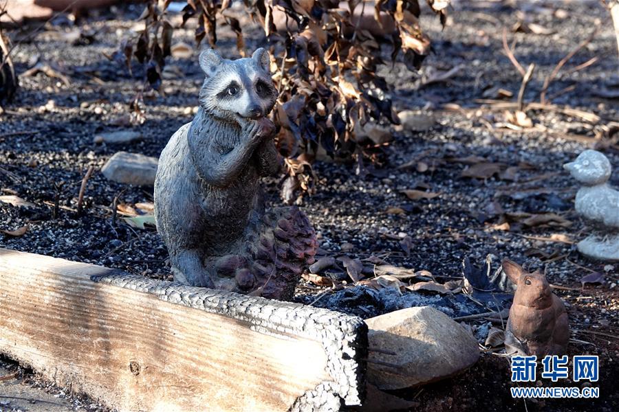 （國際&middot;圖文互動）（4）一場山火，讓這個冬天格外冷&mdash;&mdash;探訪美國加州山火災(zāi)區(qū)