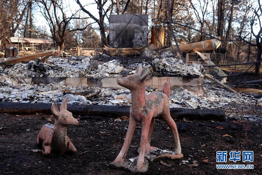 （國際&middot;圖文互動）（6）一場山火，讓這個冬天格外冷&mdash;&mdash;探訪美國加州山火災(zāi)區(qū)