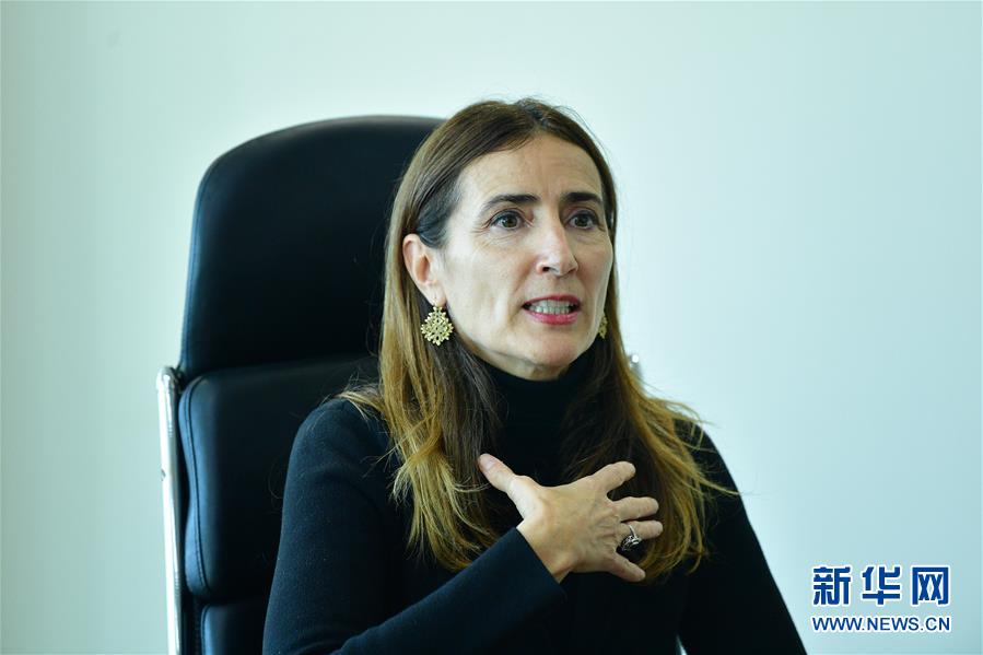 （國際 圖文互動(dòng)）（1）專訪：應(yīng)對氣候變化應(yīng)從談判轉(zhuǎn)向行動(dòng)&mdash;&mdash;訪2019年聯(lián)合國氣候變化大會(huì)主席施密特