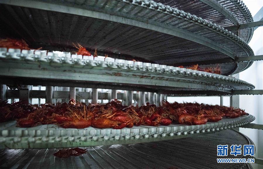 （國際&middot;圖文互動）（12）從尼羅河畔到中國餐桌&mdash;&mdash;一只&ldquo;洋&rdquo;小龍蝦的36小時旅程