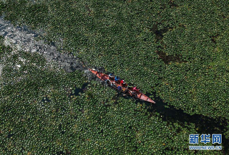 （國際&middot;年終報道）（8）2019，精&ldquo;彩&rdquo;紛呈