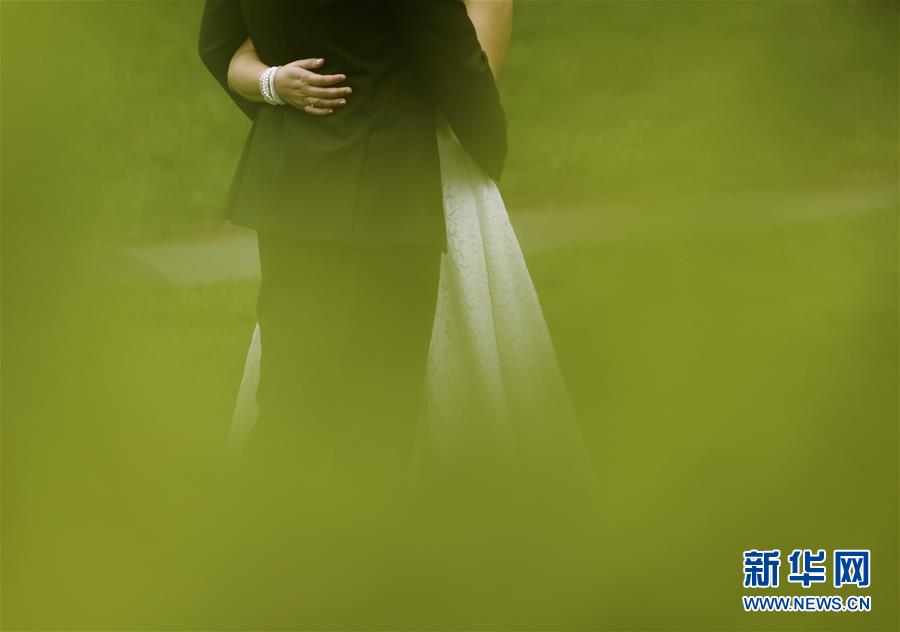 （國(guó)際&middot;年終報(bào)道）（13）2019，精&ldquo;彩&rdquo;紛呈