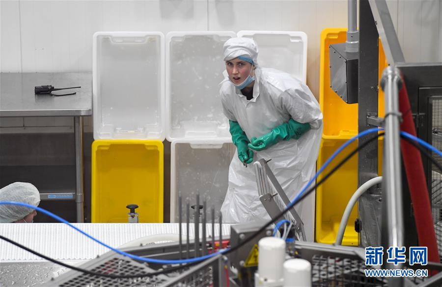 （第三屆進博會&middot;圖文互動）（2）通訊：新西蘭的進博會味道，甜