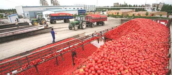 中國推動構(gòu)建共贏、互信、發(fā)展的新絲綢之路