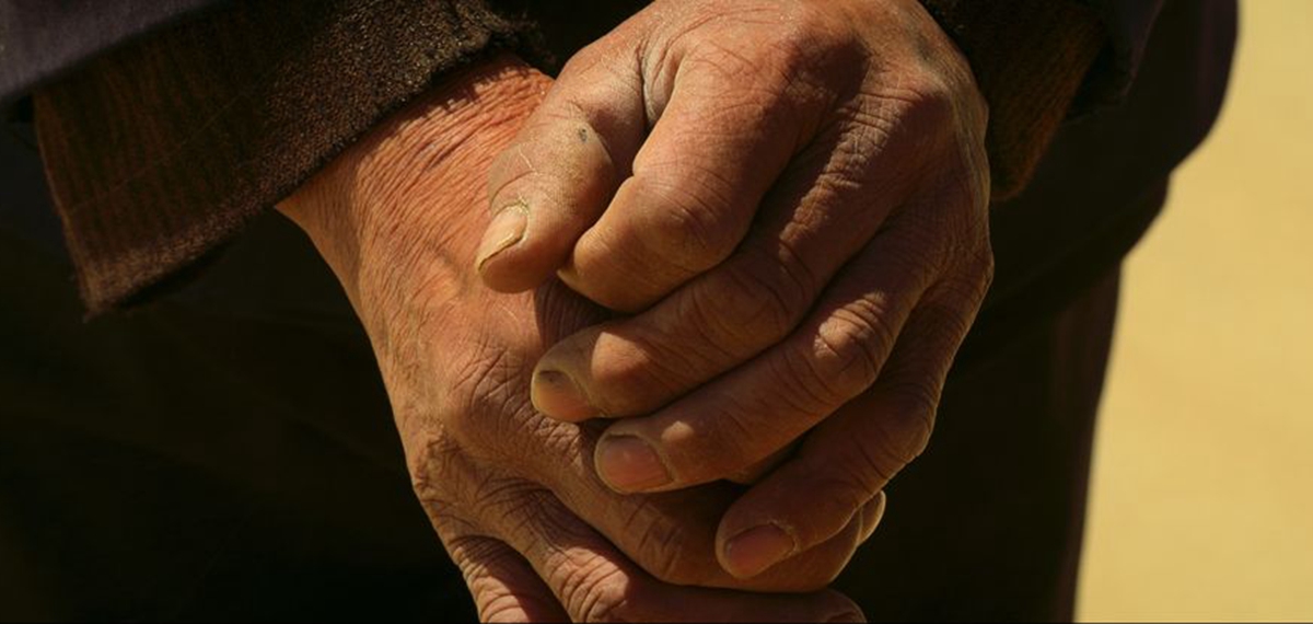 正式發(fā)布！《攜手，為人民》中國共產(chǎn)黨與世界政黨領(lǐng)導(dǎo)人峰會暖場片