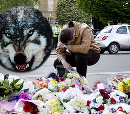 血案頻發(fā) "獨狼"緣何兇猛？